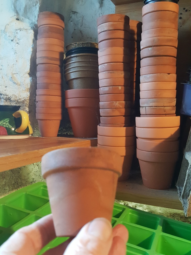 little clay pots